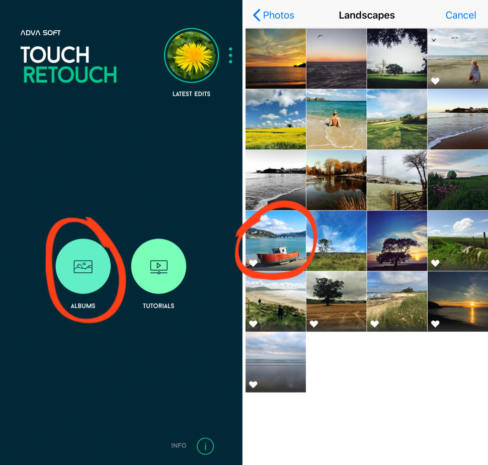 Removing Objects From Your iPhone Photos: The Ultimate Guide