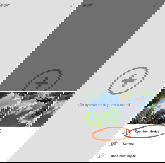 4 Easy Ways To Blur The Background In Your iPhone Photos