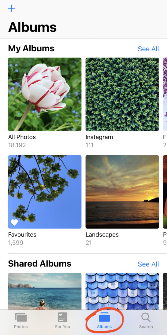 how-to-use-icloud-photo-sharing-to-share-your-iphone-photos