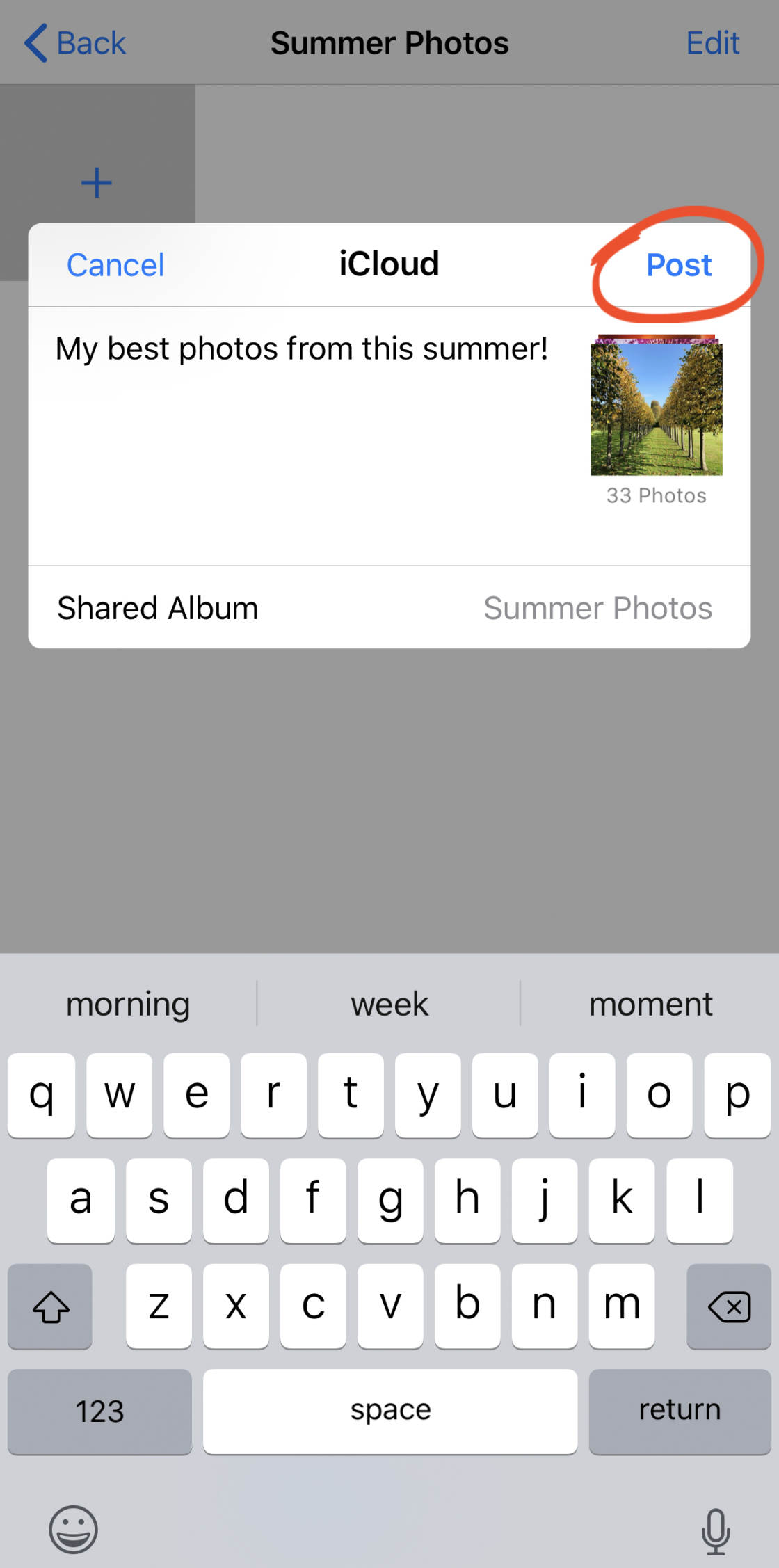 iCloud Photograph Sharing no script