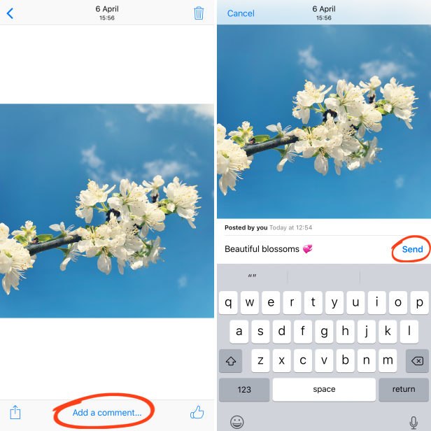 How To Use iCloud Photo Sharing To Share Your iPhone Photos