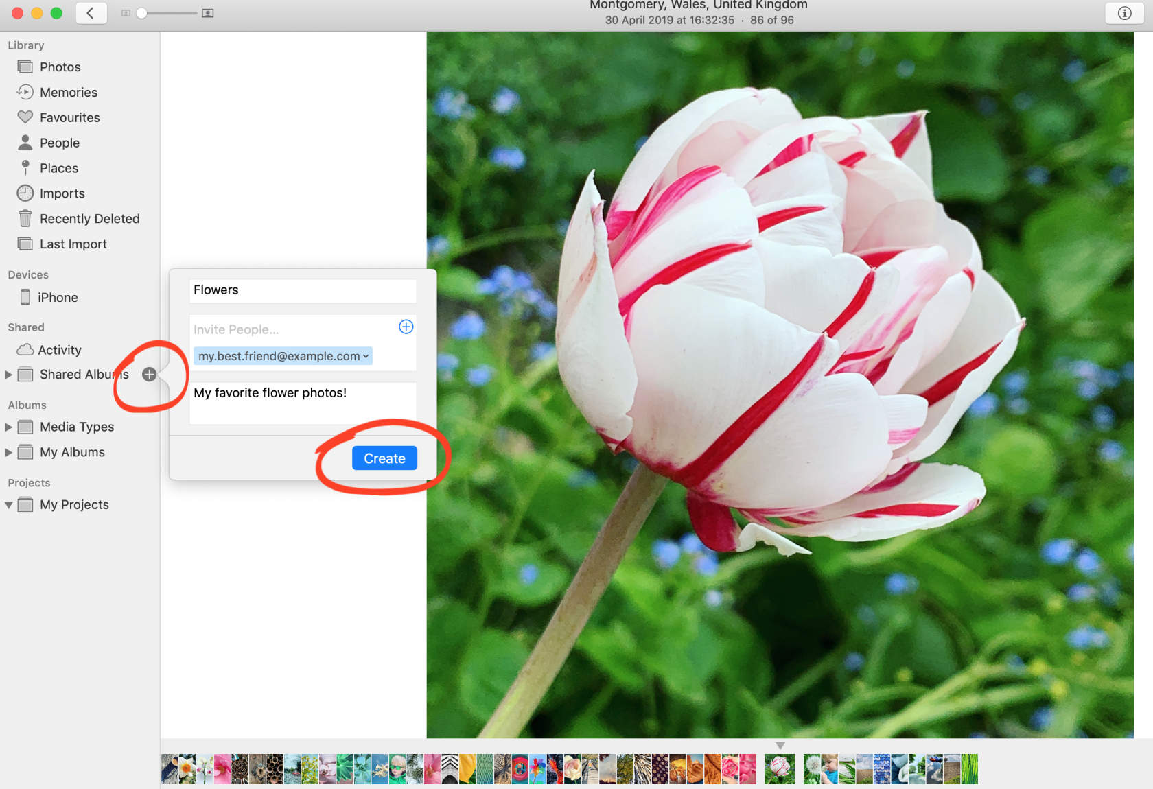 how-to-use-icloud-photo-sharing-to-share-your-iphone-photos