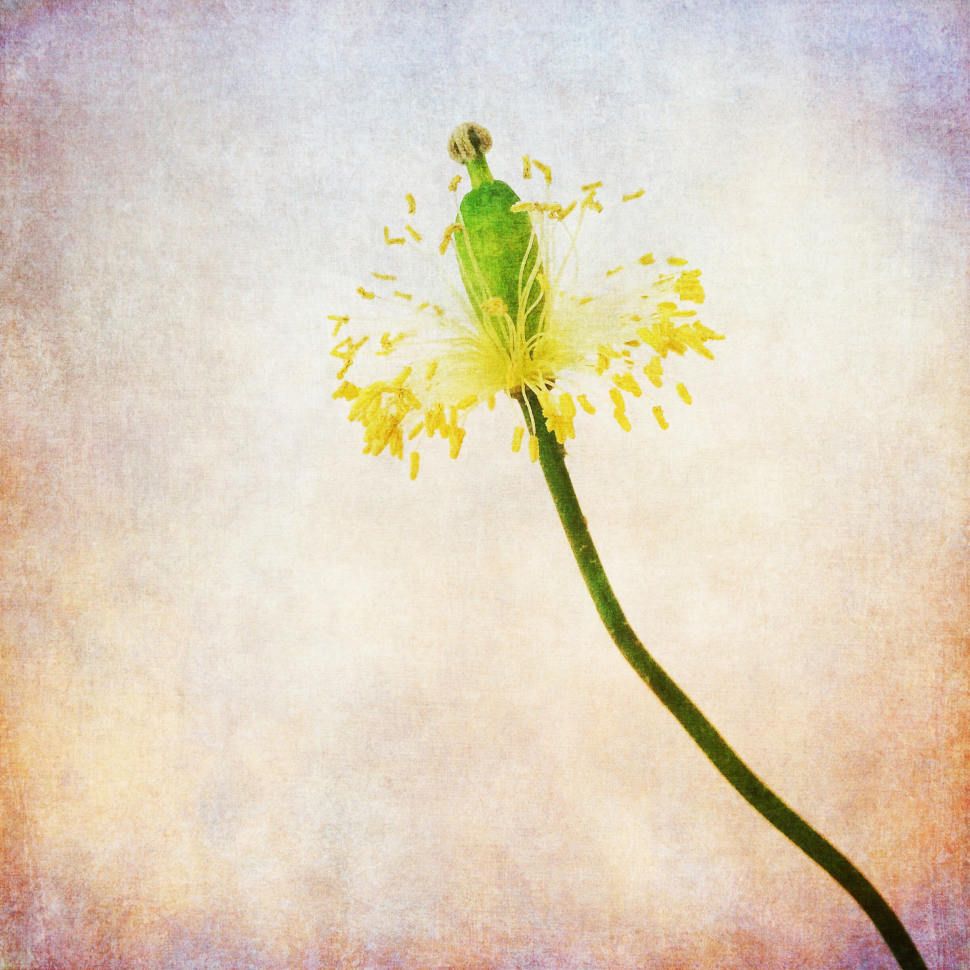 10 Best Apps For Adding Textures To Your iPhone Photos