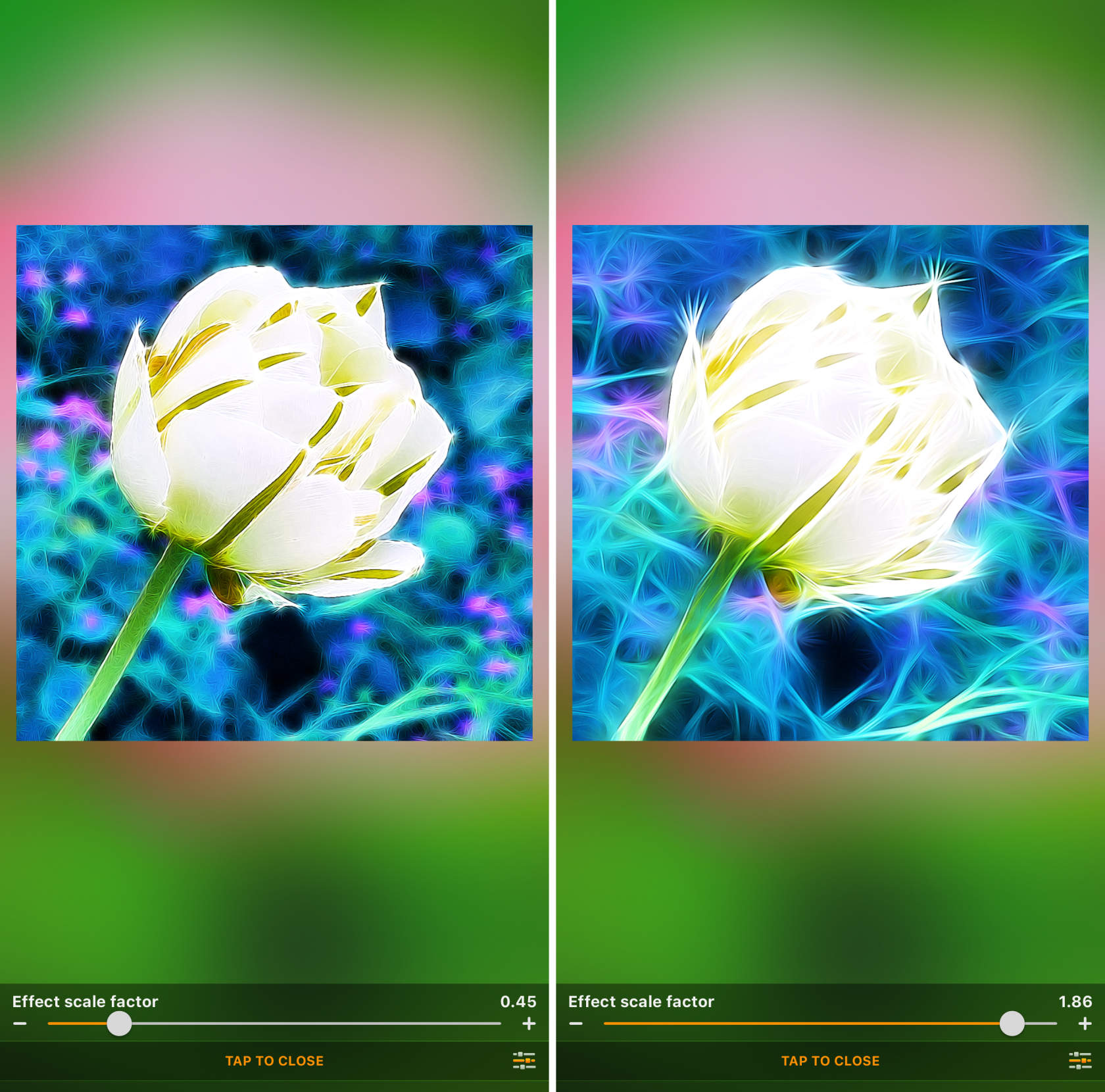 My Image 23