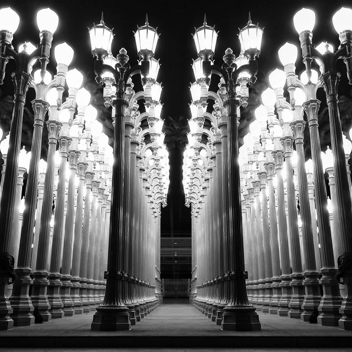 black and white photography city lights