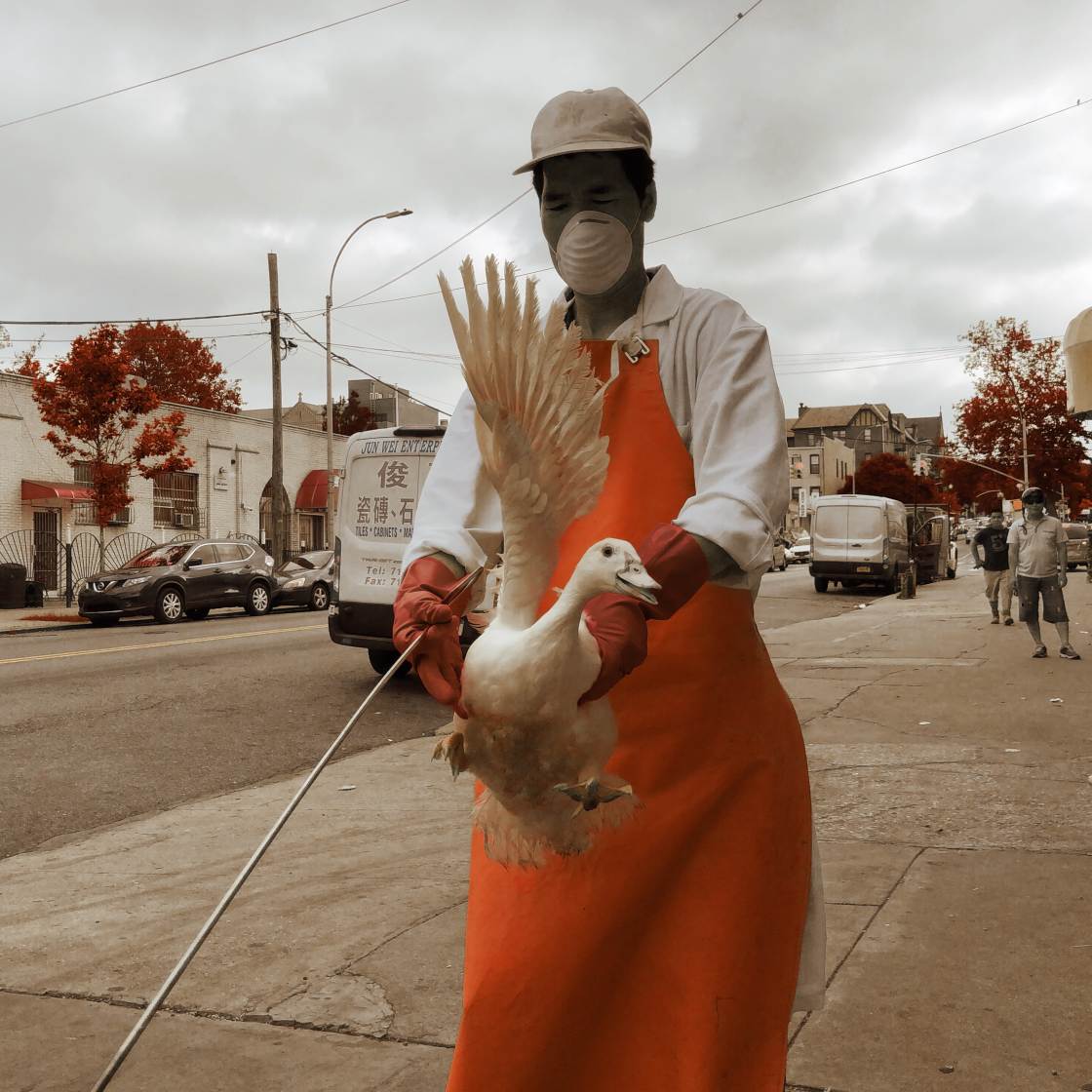 narración de fotografías callejeras