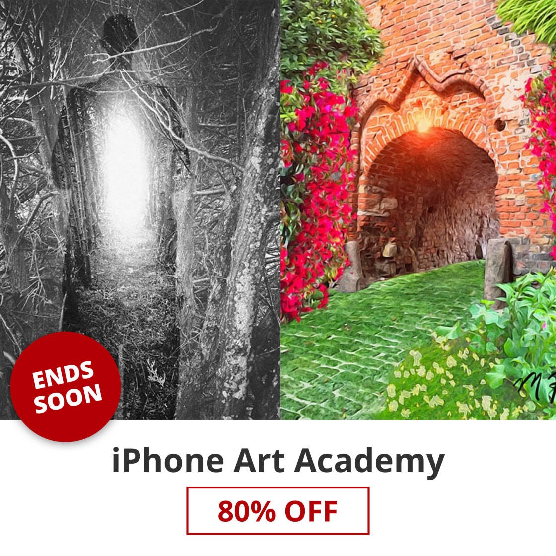 Huge 80% Discount For Our iPhone Art Academy Online Course
