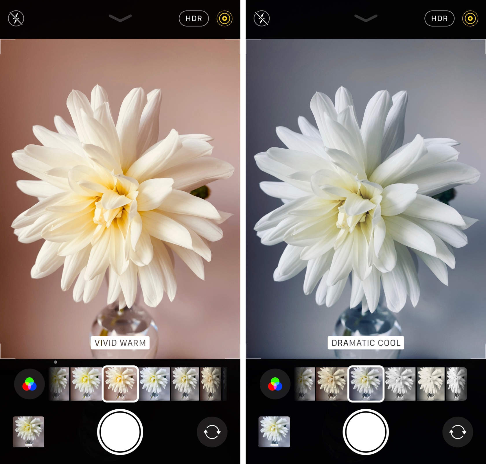 How To Use The iPhone Camera App To Take Incredible Photos