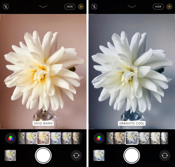 How To Use The iPhone Camera App To Take Incredible Photos