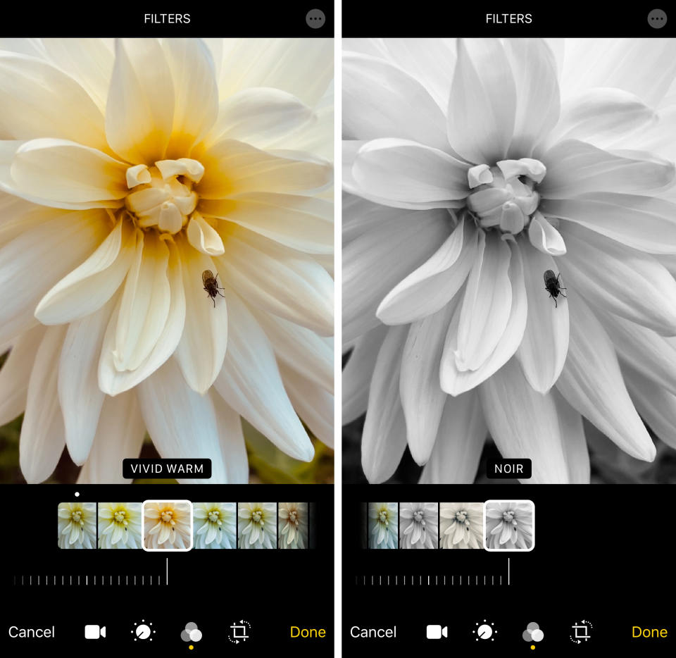 How To Shoot Fascinating iPhone Time Lapse Videos