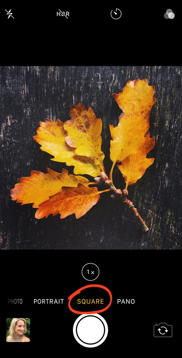 How To Use The Iphone Camera App To Take Incredible Photos