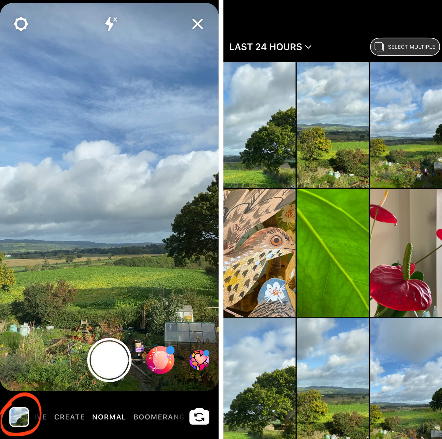 how-to-quickly-convert-live-photo-to-video-on-your-iphone