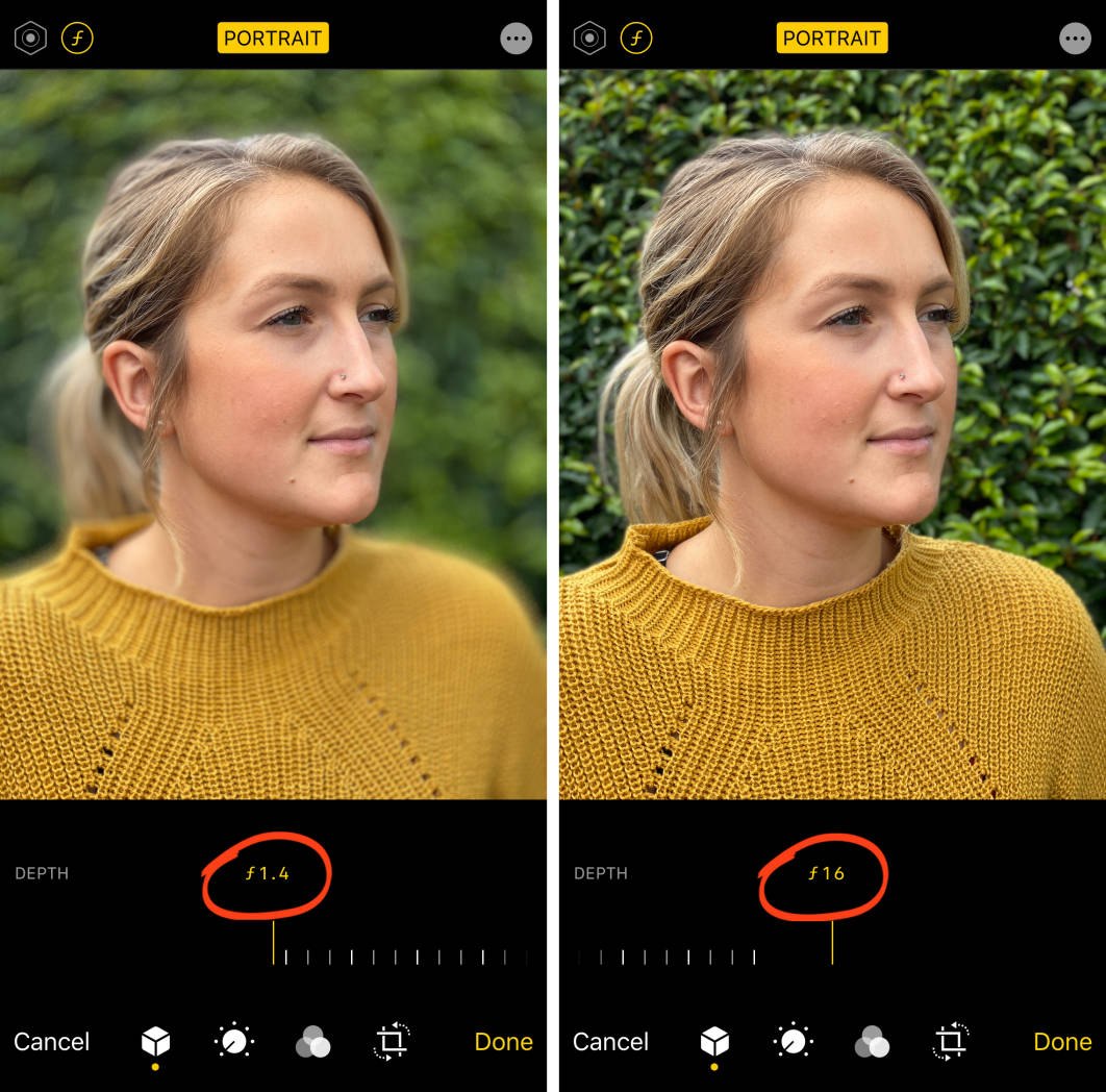 4 Easy Ways To Blur The Background In Your iPhone Photos
