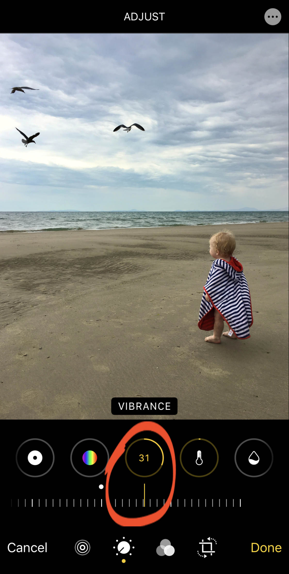 How To Use Live Photos To Create Amazing Moving Images On Iphone