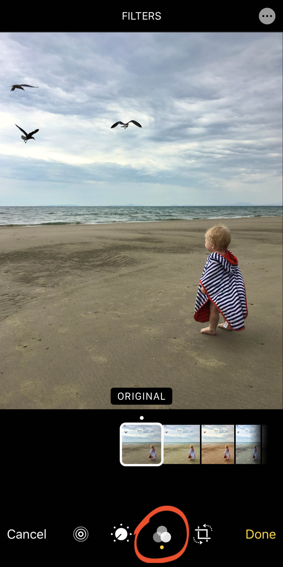 How To Use Live Photos To Create Amazing Moving Images On Iphone