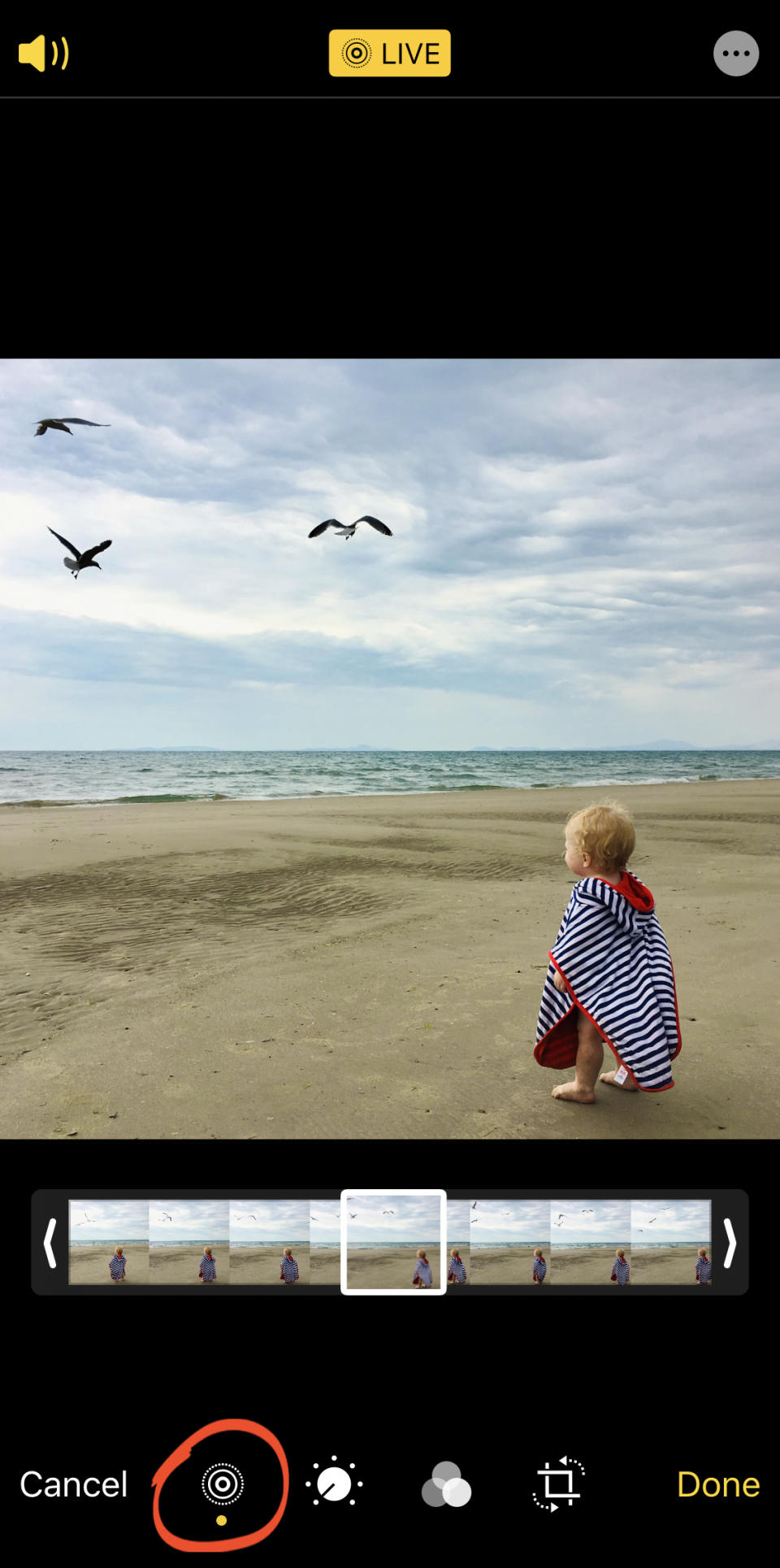 How To Use Live Photos To Create Amazing Moving Images On iPhone