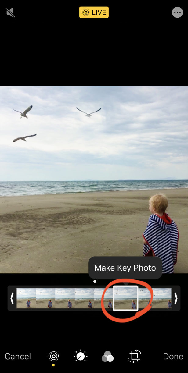 How To Use Live Photos To Create Amazing Moving Images On iPhone