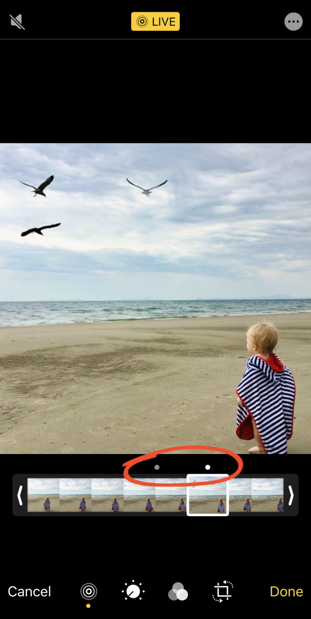 How To Use Live Photos To Create Amazing Moving Images On iPhone