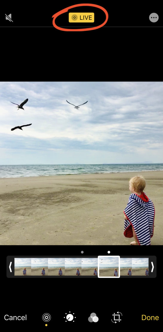 How To Use Live Photos To Create Amazing Moving Images On iPhone