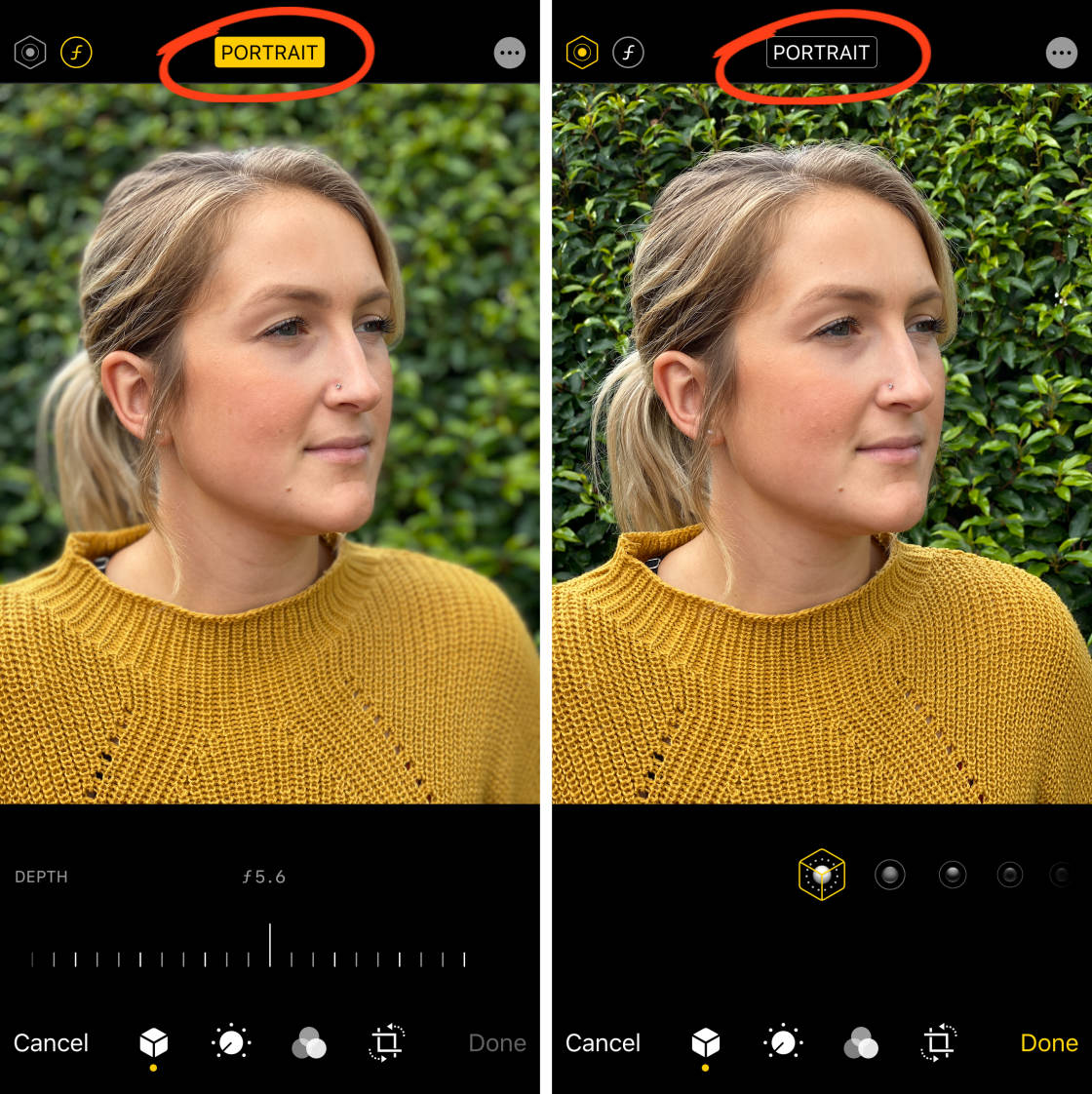 iphone 15 pro max portrait mode settings