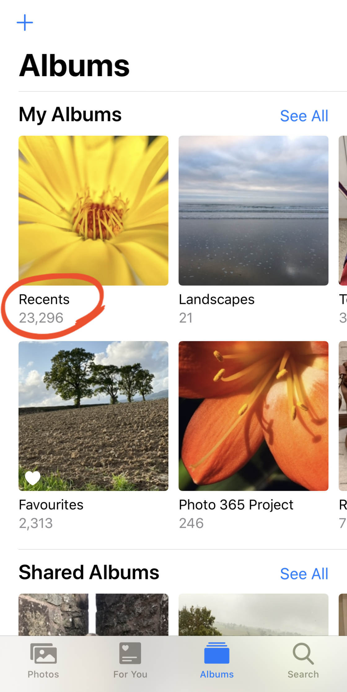 How To Use iPhone Photo Albums To Organize Photos