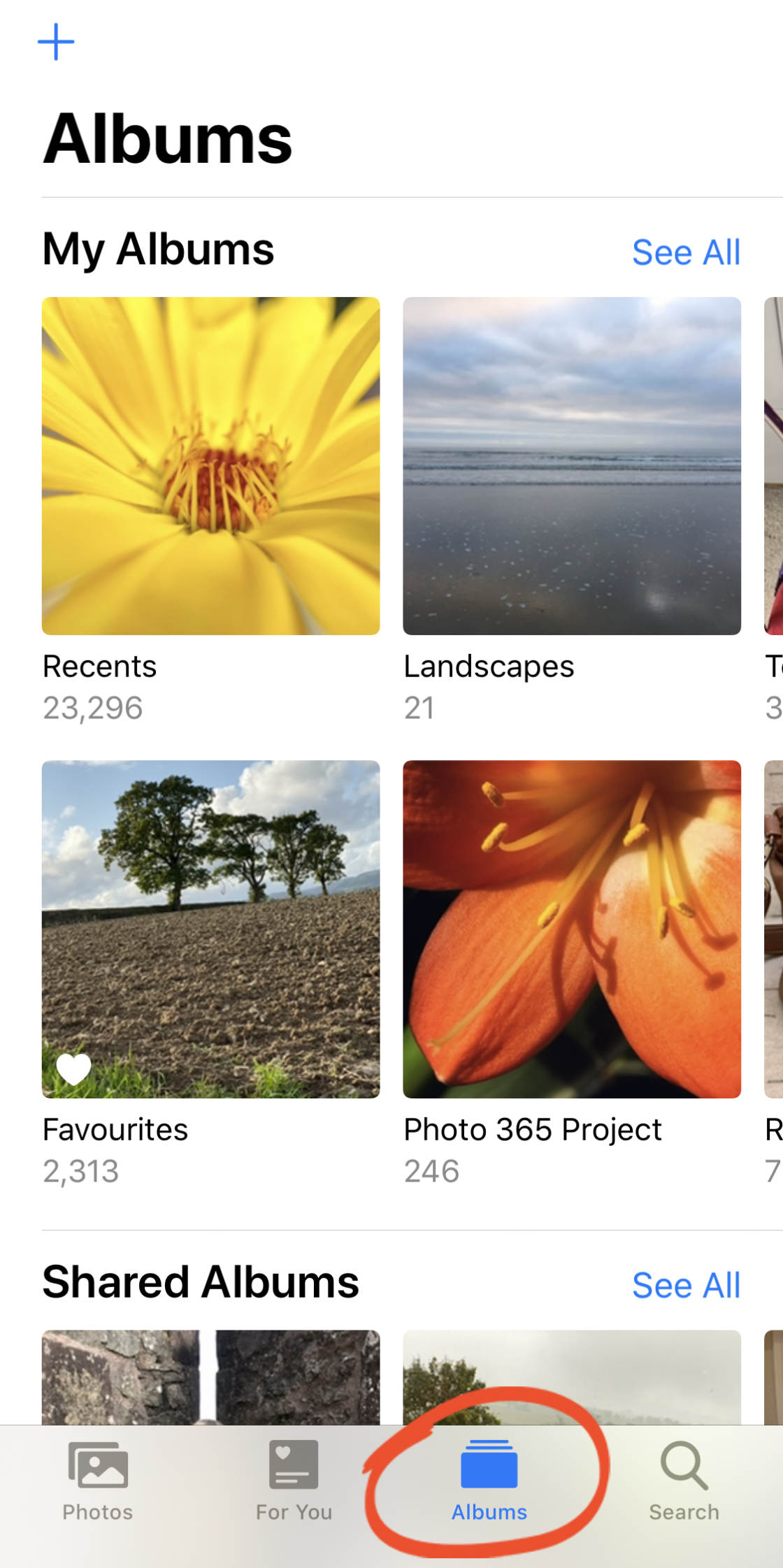 albums de photos de l'iPhone sans script