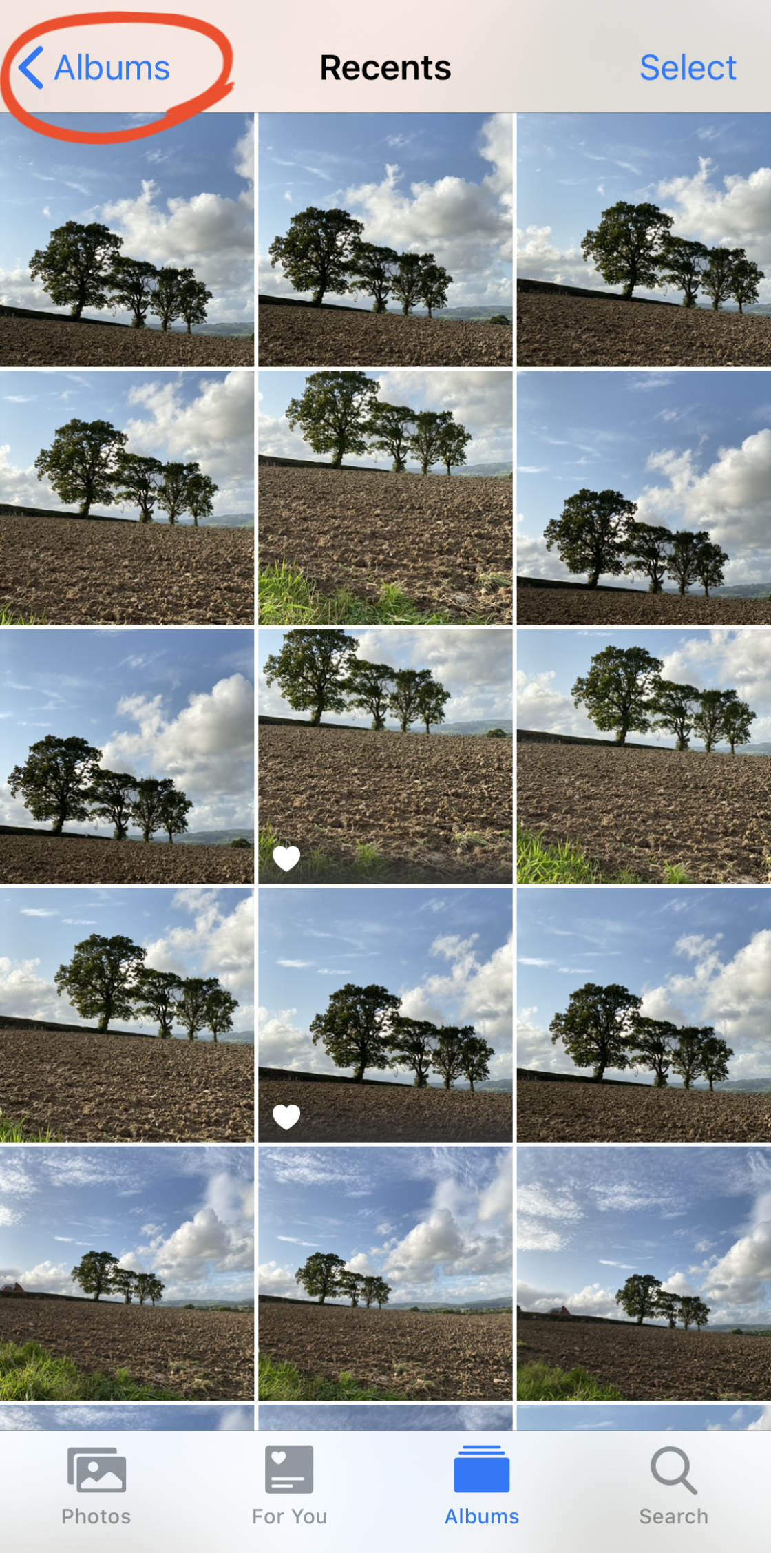 iPhone Fotoalbums geen script