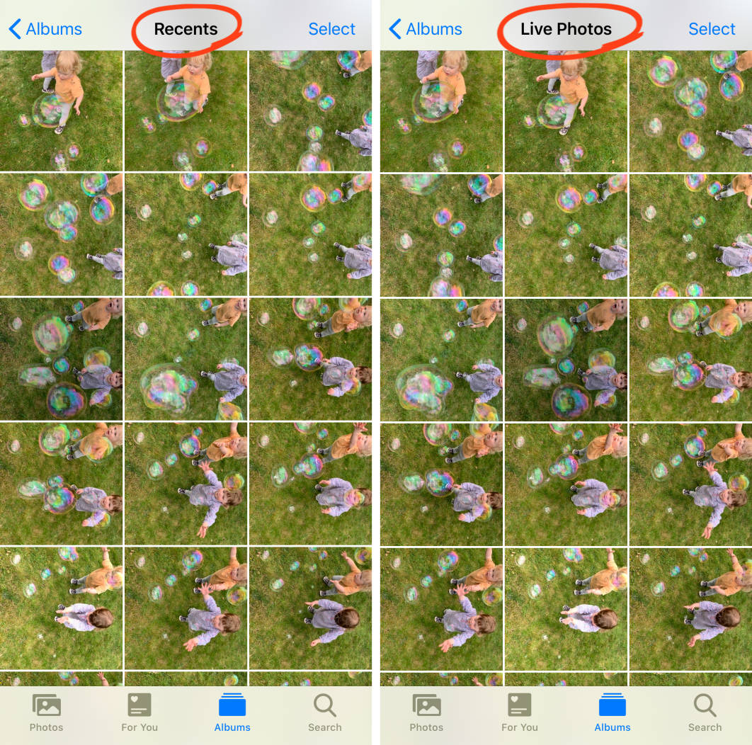 how-to-use-iphone-photo-albums-to-organize-photos