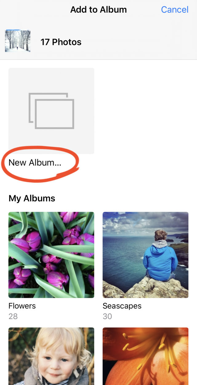 How To Use iPhone Photo Albums To Organize Photos