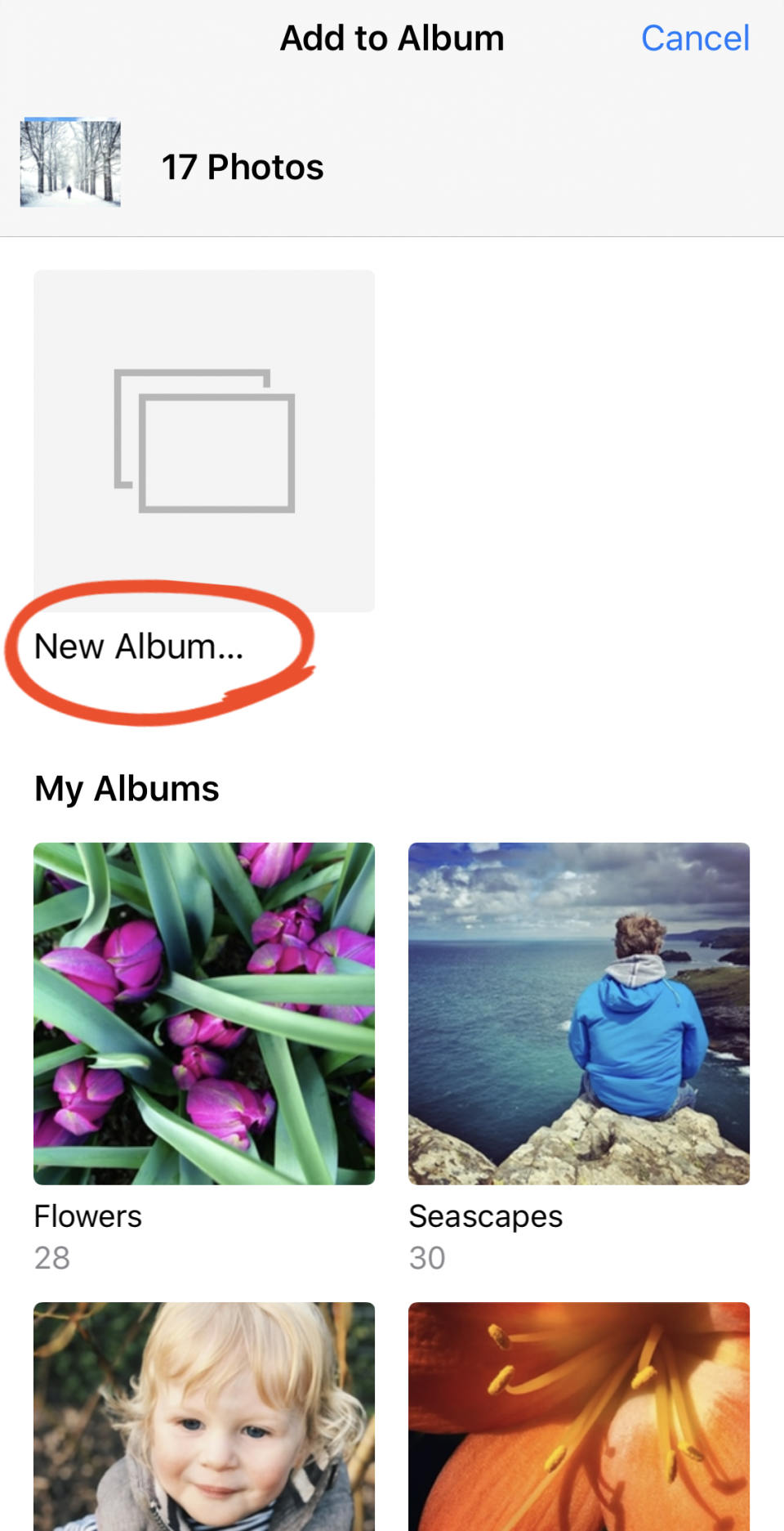 How To Use iPhone Photo Albums To Organize Photos