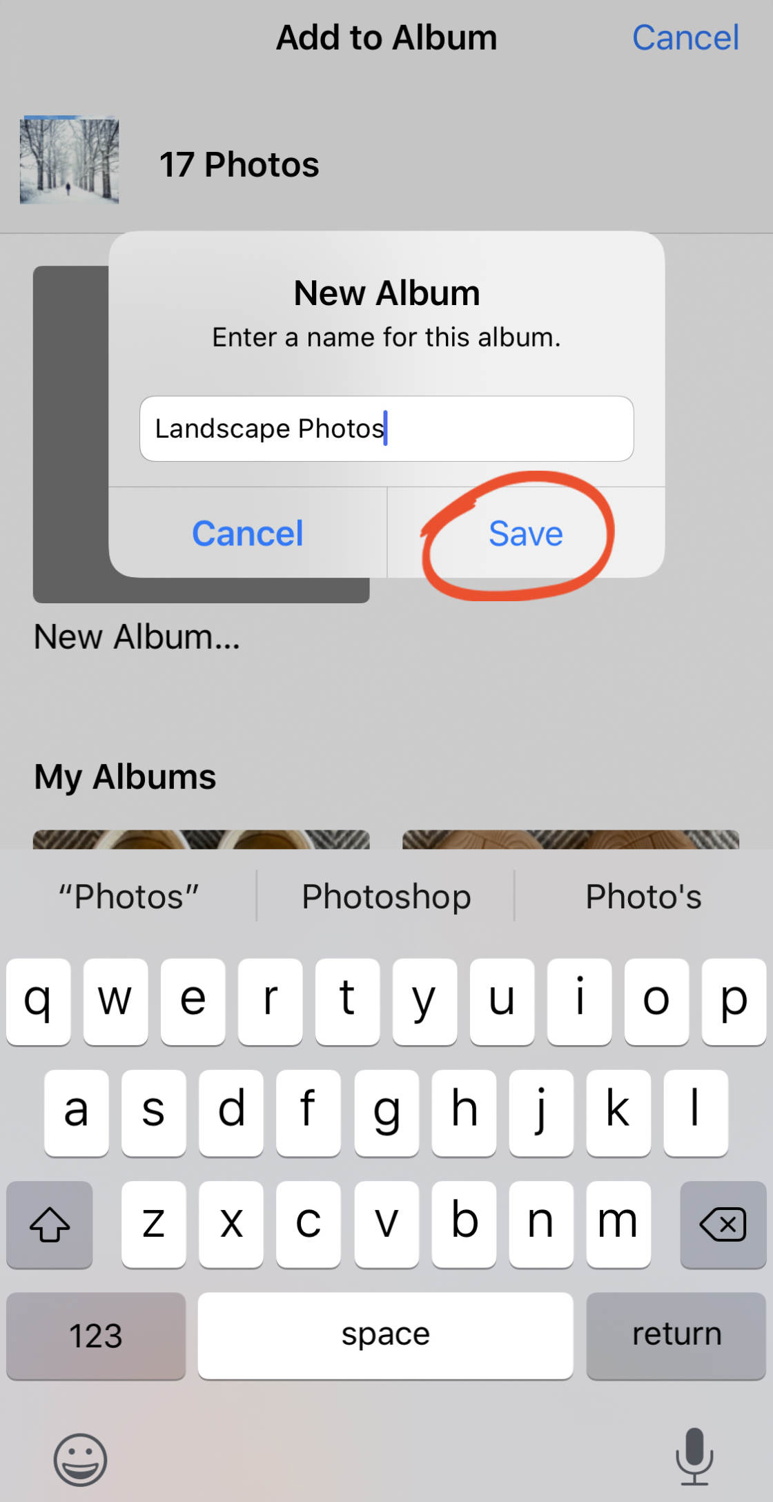 How To Use iPhone Photo Albums To Organize Photos