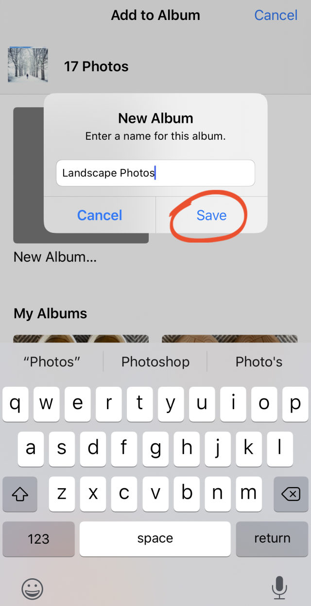 how-to-use-iphone-photo-albums-to-organize-photos