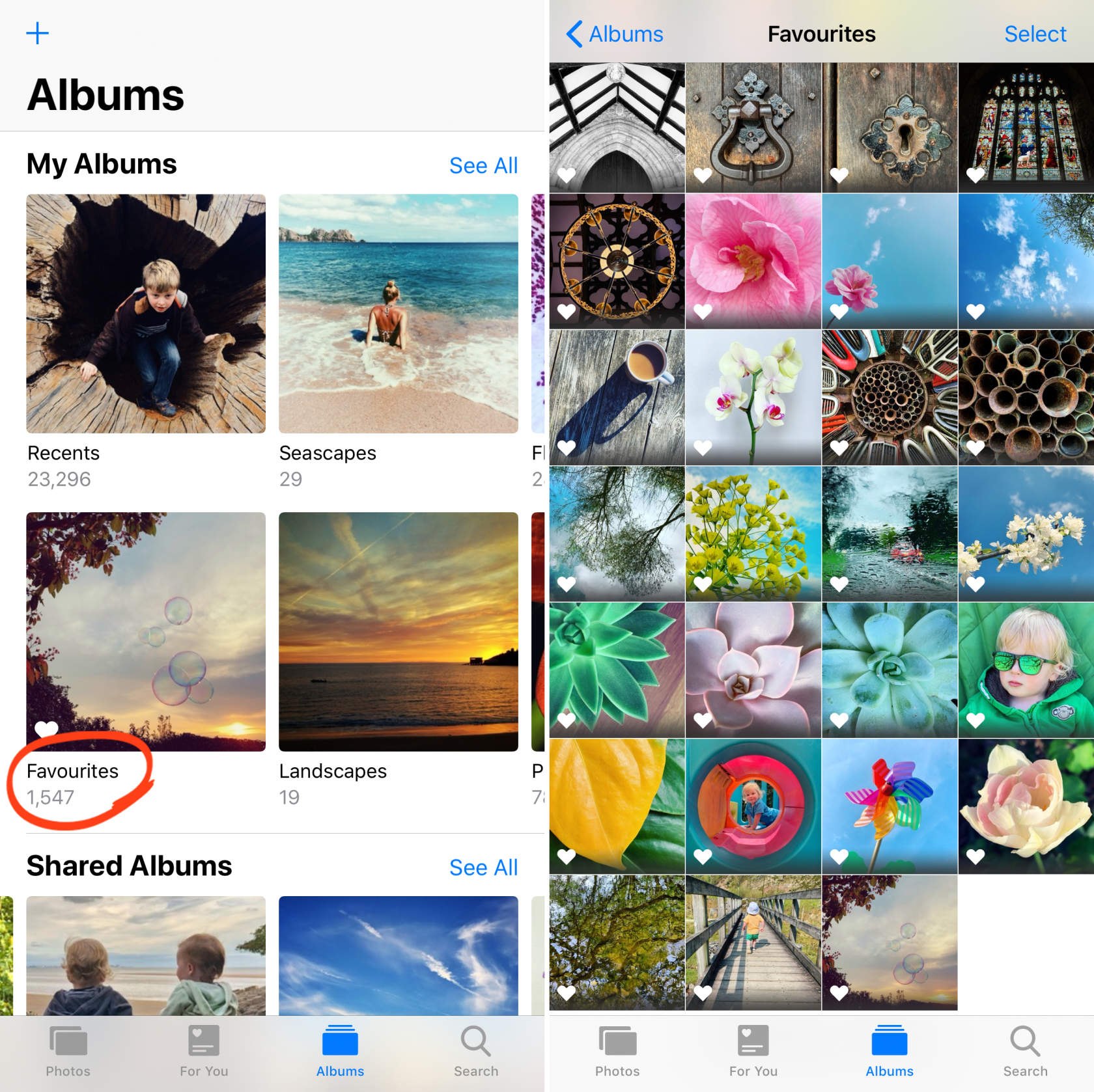 Cómo usar los álbumes de fotos del iPhone para organizar las fotos ISNCA