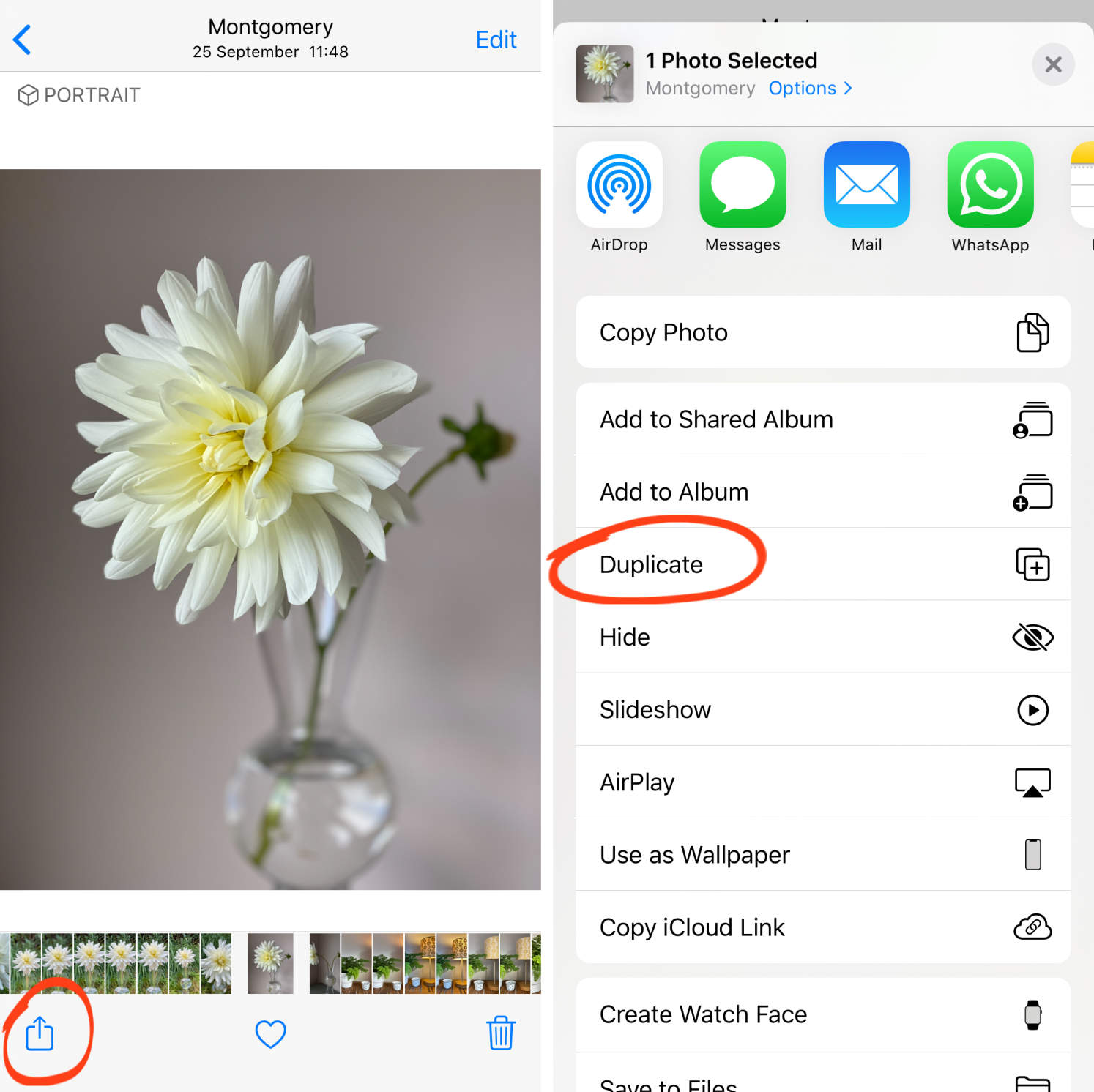 How To Edit Photos On iPhone Using The BuiltIn Photos App