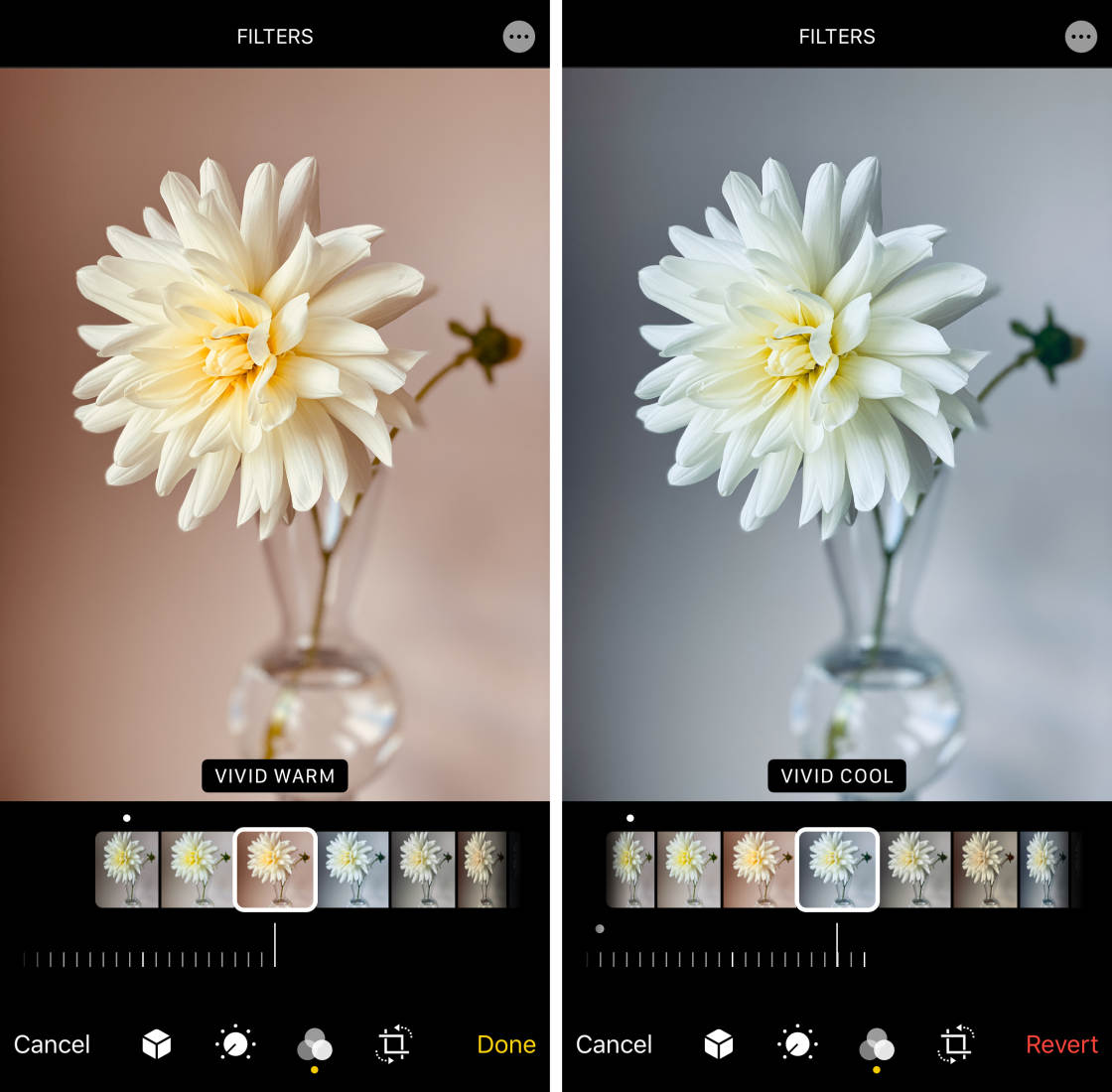 How To Edit Photos On iPhone Using The Built-In Photos App