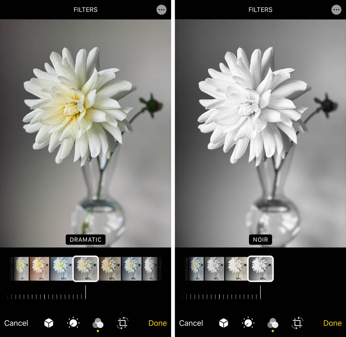 Black Background Photo Editing App The app lets you zoom in to the