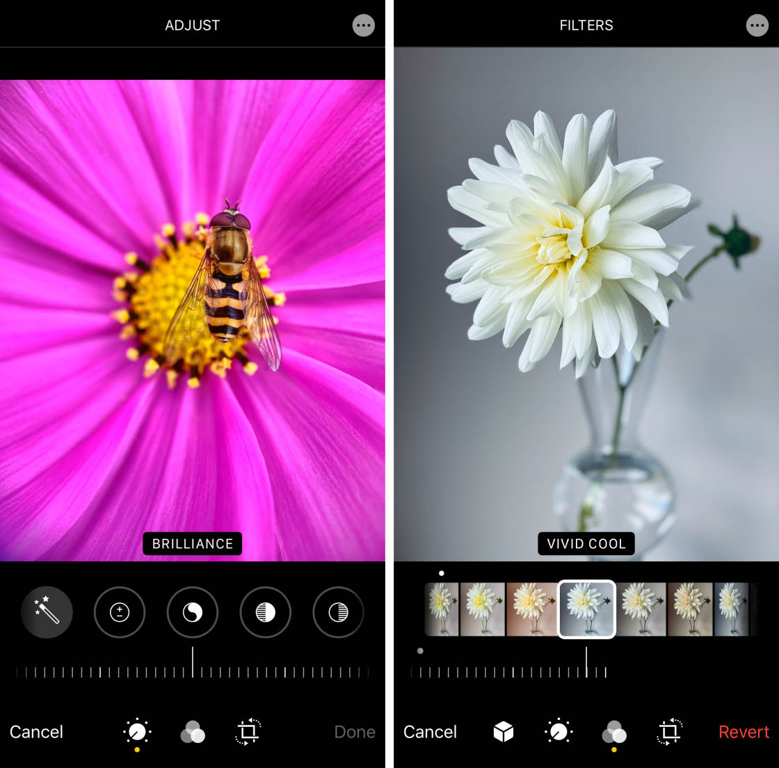 How To Edit Photos On iPhone Using The Built-In Photos App