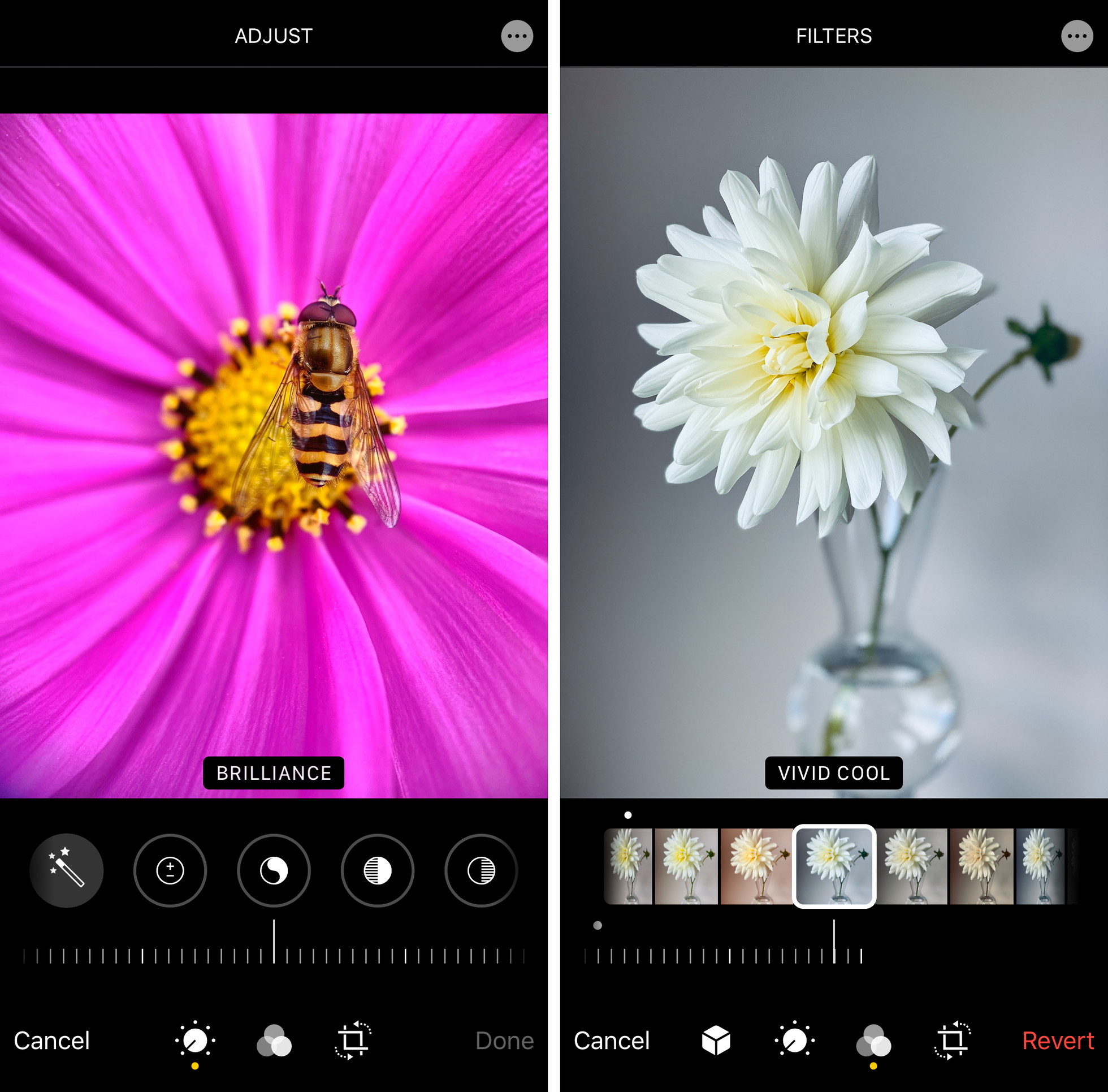 How To Edit Photos On Iphone Using The Built In Photos App