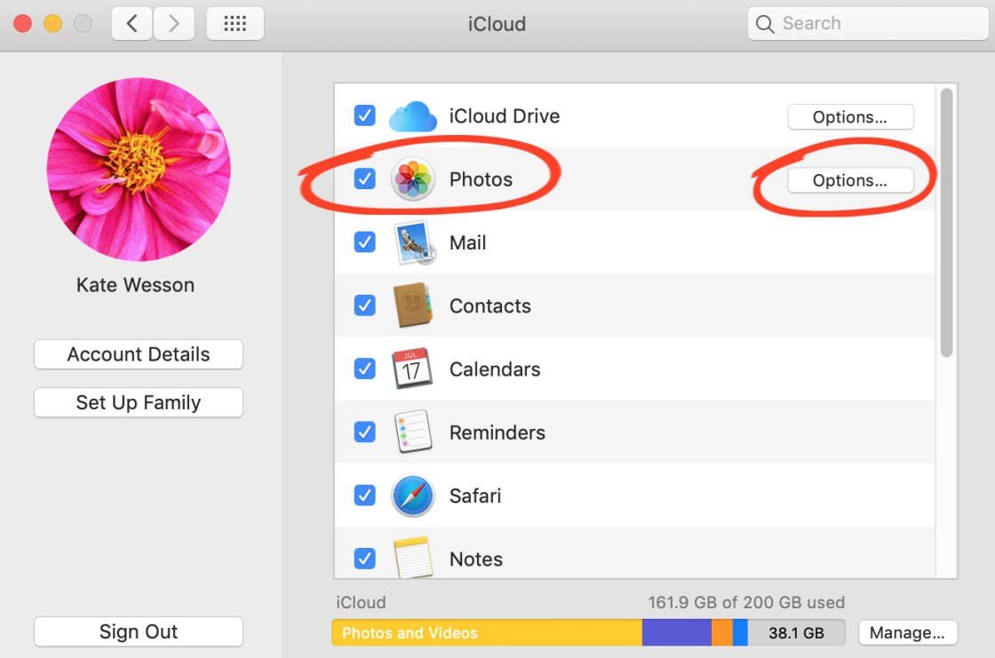 download photos from icloud no script