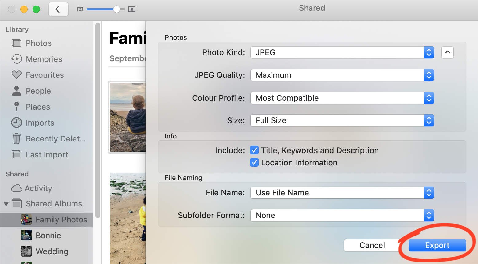 How To Download Photos From iCloud To Your iPhone, iPad Or Computer