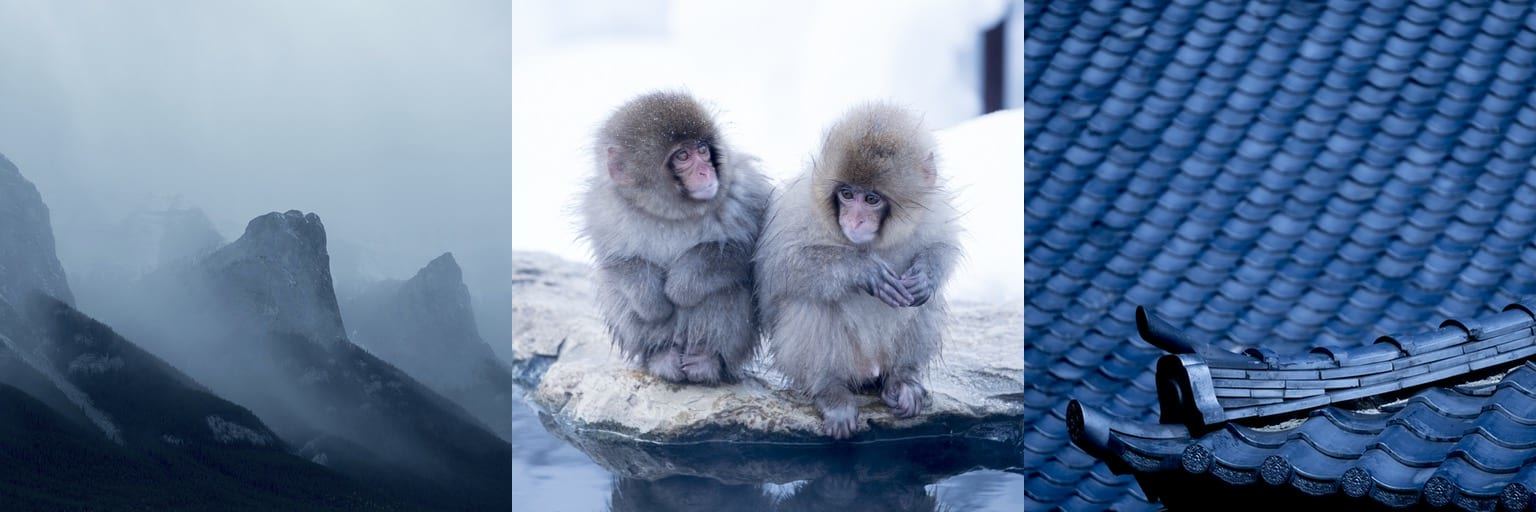 Digital Camera Mastery Learn How To Use Your Digital Camera