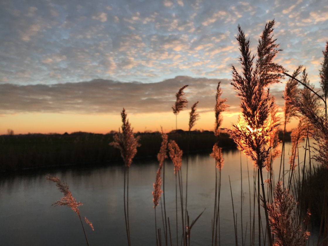 golden hour landscape photography no script