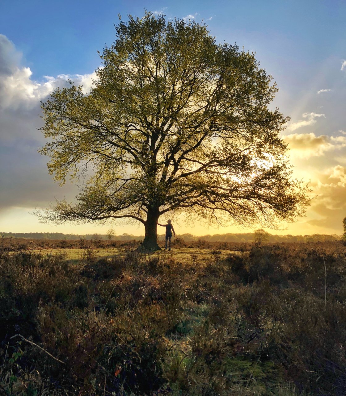 golden hour landscape photography no script