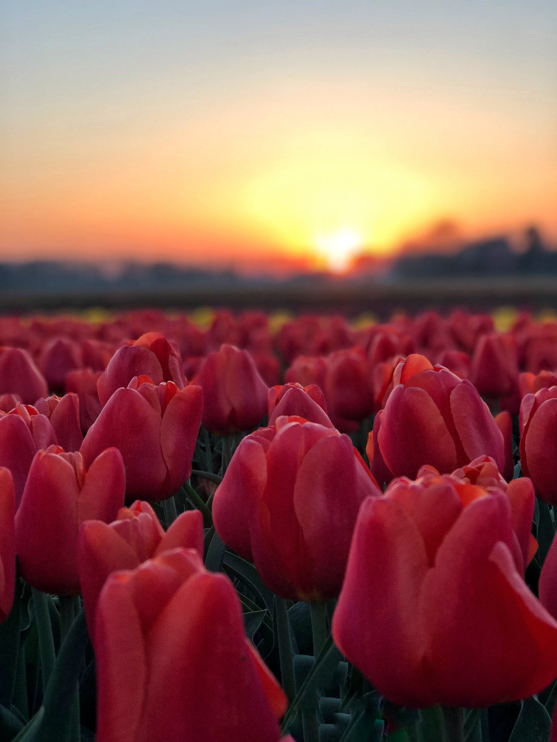 golden hour landscape photography