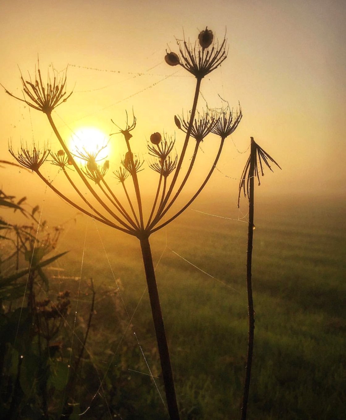 golden hour landscape photography