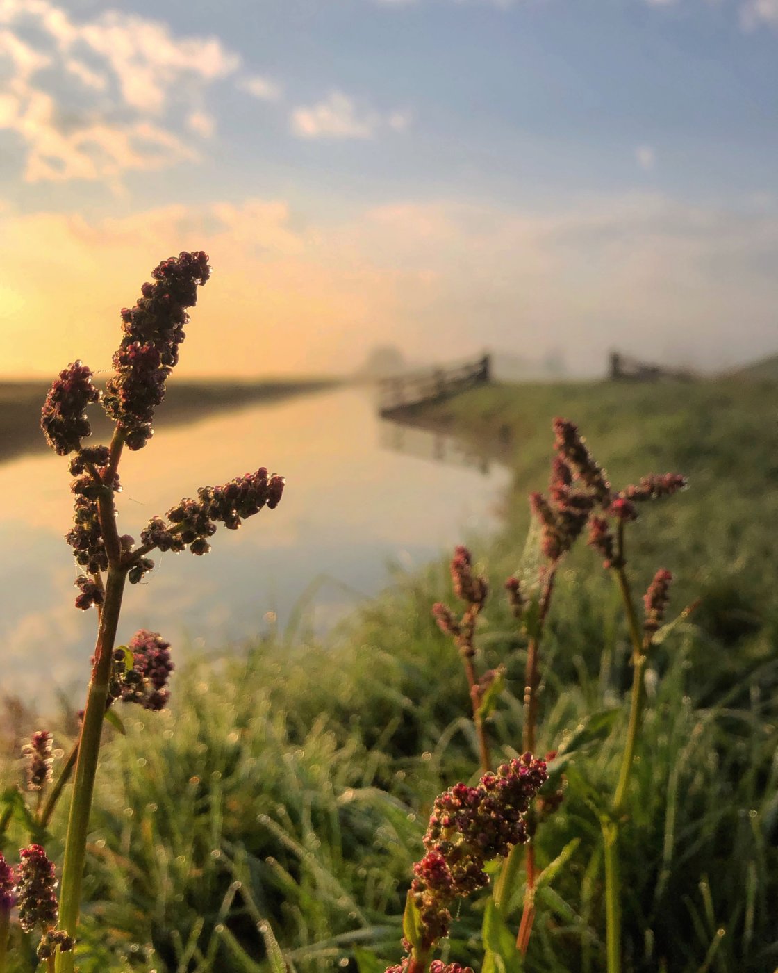 golden hour landscape photography no script