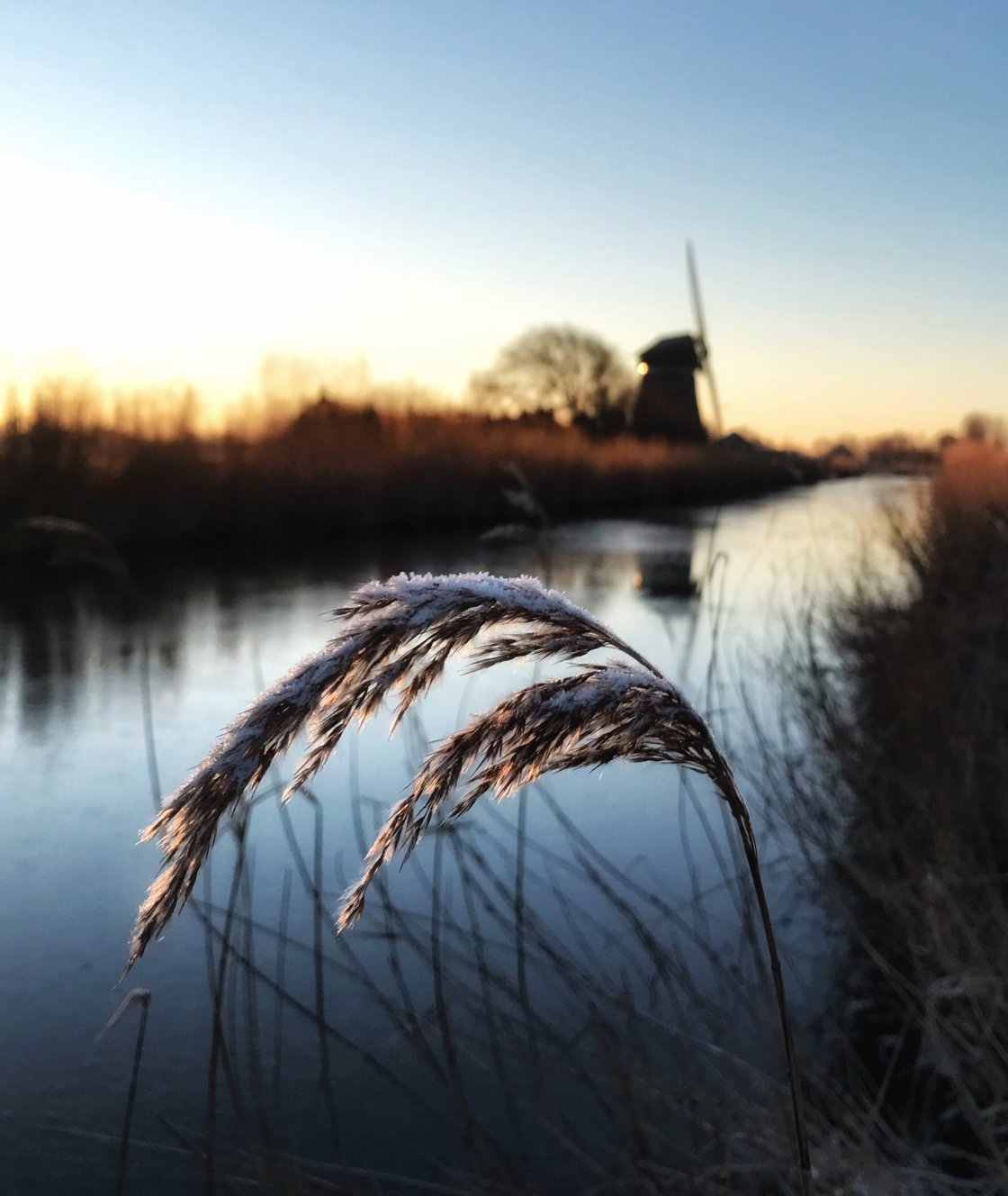 golden hour landscape photography no script