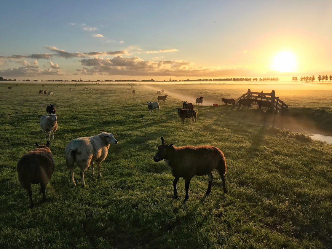 golden hour landscape photography no script