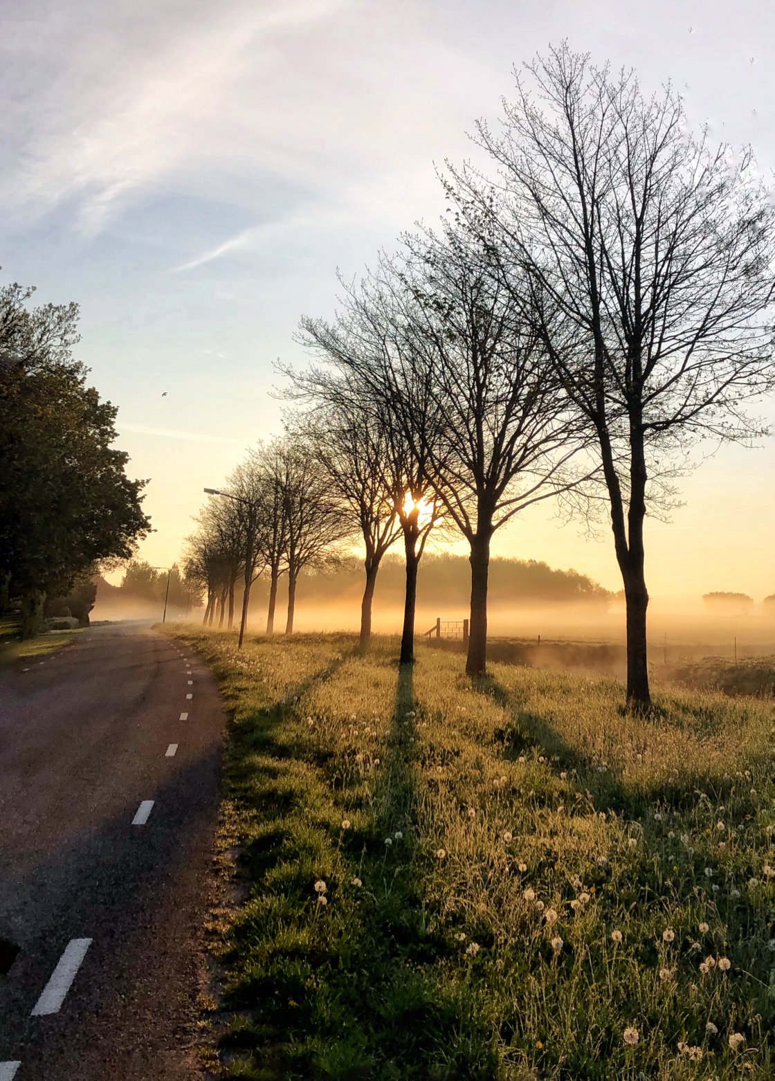 golden hour landscape photography no script