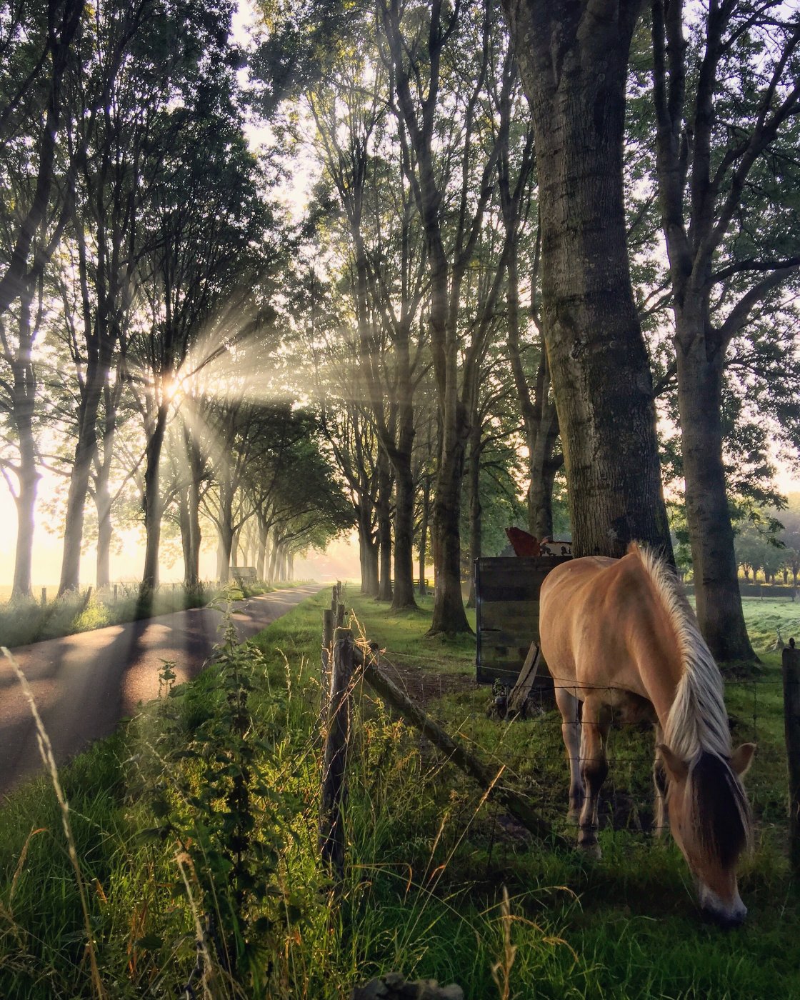 golden hour landscape photography